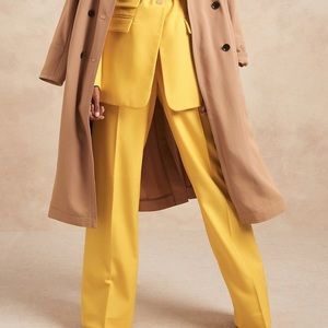 Banana Republic Wide-leg Wool Pant